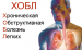 Профилактика ХОБЛ (хронической обструктивной болезни легких) Профилактика ХОБЛ (хронической обструктивной болезни легких)